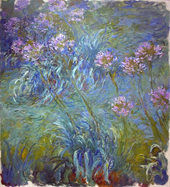 Claude Monet Agapanthus